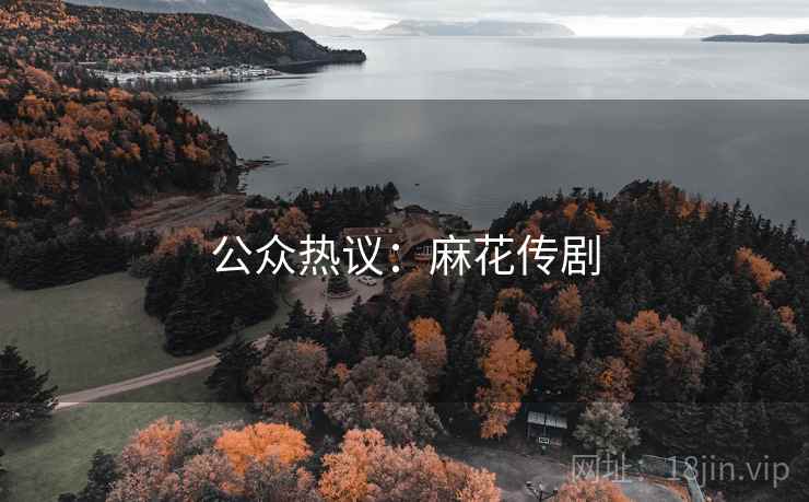 公众热议:麻花传剧 第1张 公众热议:麻花传剧 第1张