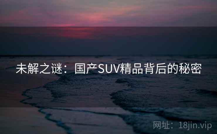 未解之谜:国产SUV精品背后的秘密 第1张 未解之谜:国产SUV精品背后的秘密 第1张
