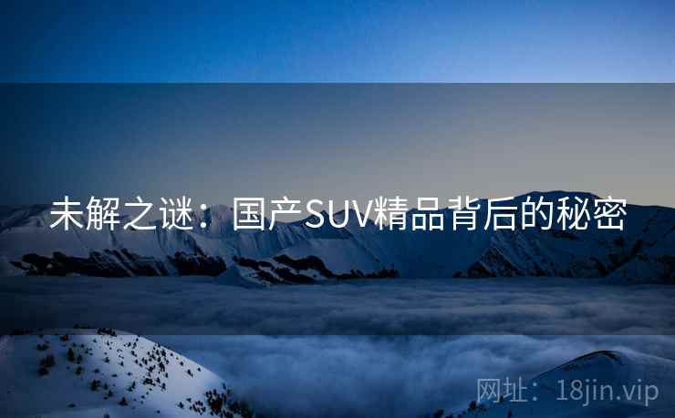 未解之谜:国产SUV精品背后的秘密 第2张 未解之谜:国产SUV精品背后的秘密 第2张