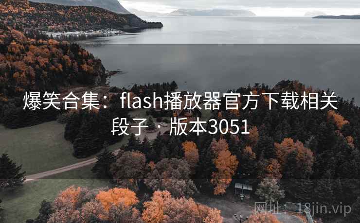 爆笑合集：flash播放器官方下载相关段子 · 版本3051  第1张