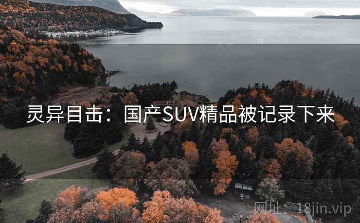 灵异目击:国产SUV精品被记录下来 第2张 灵异目击:国产SUV精品被记录下来 第2张