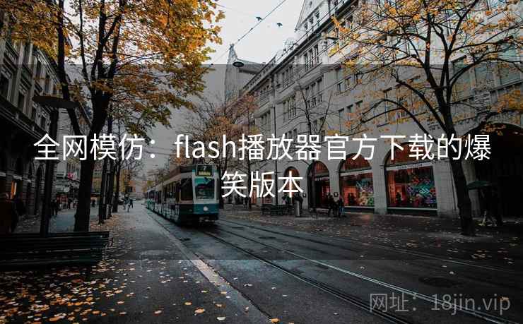 全网模仿：flash播放器官方下载的爆笑版本  第2张